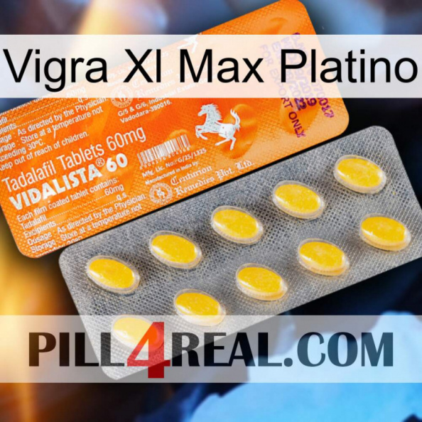 Vigra Xl Max Platinum new05.jpg